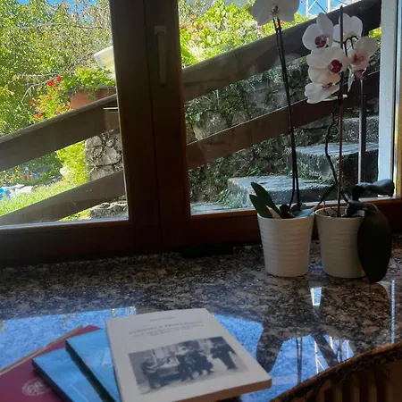 Luxury - Aurelia's Panoramic Nest - View * Mandello del Lario